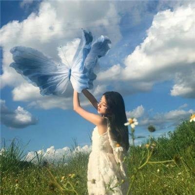 仙乐美人